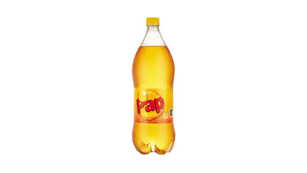 Bebida Grande Pap
